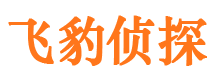 海南州市侦探调查公司